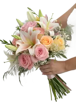 Imagen PNG para descargar